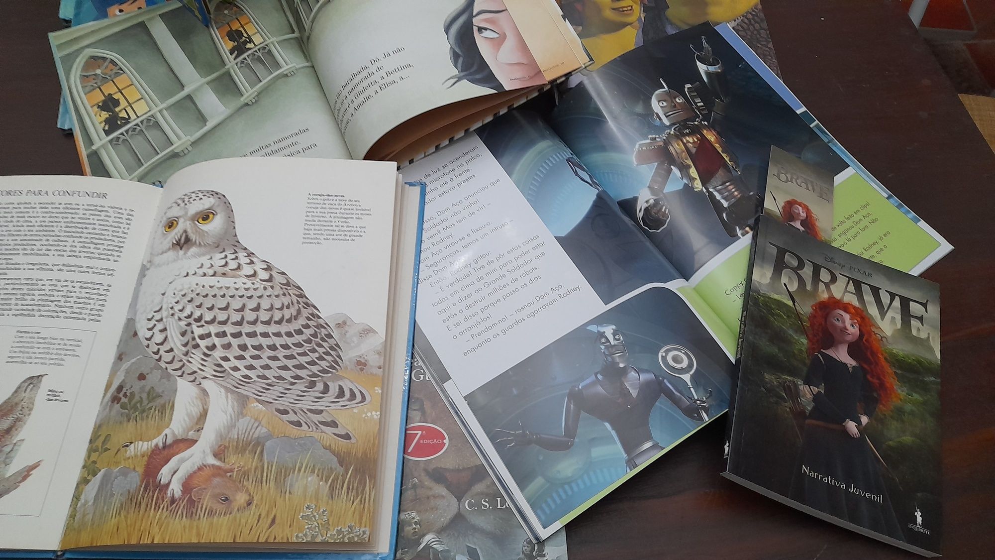 Lote 16 Livros infantis e juvenis