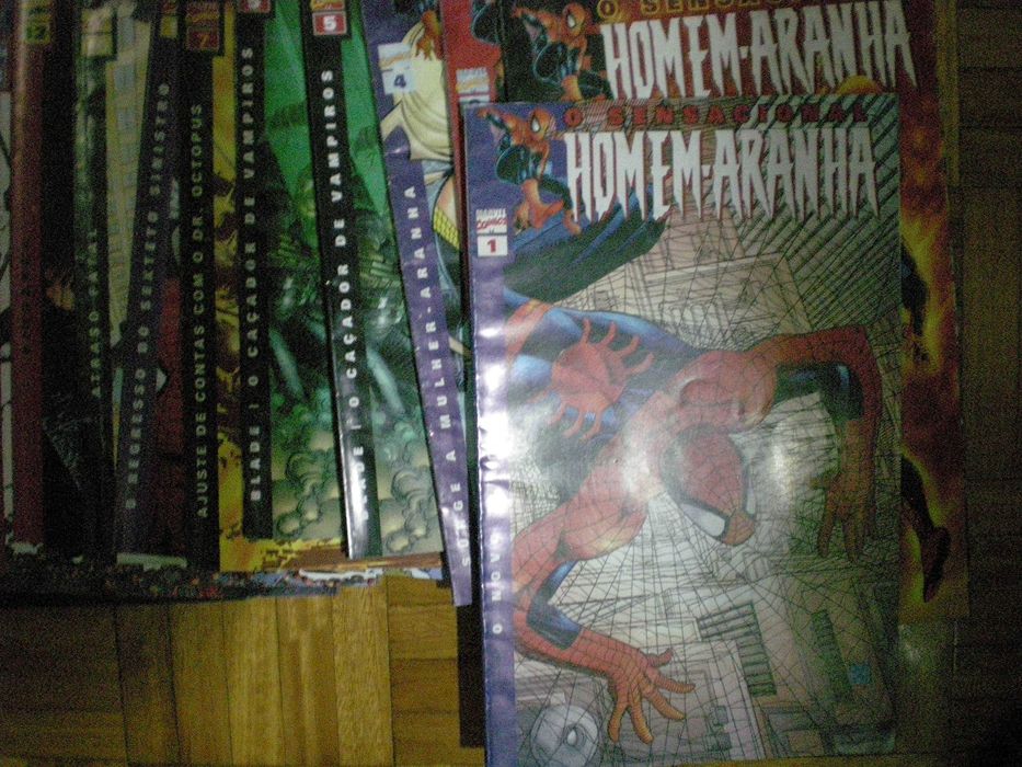 O Sensacional Homem-Aranha VINTAGE 2002