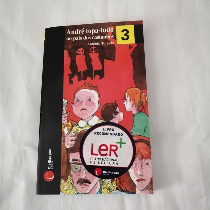 Livro juvenil André topa-tudo no país dos castanhos