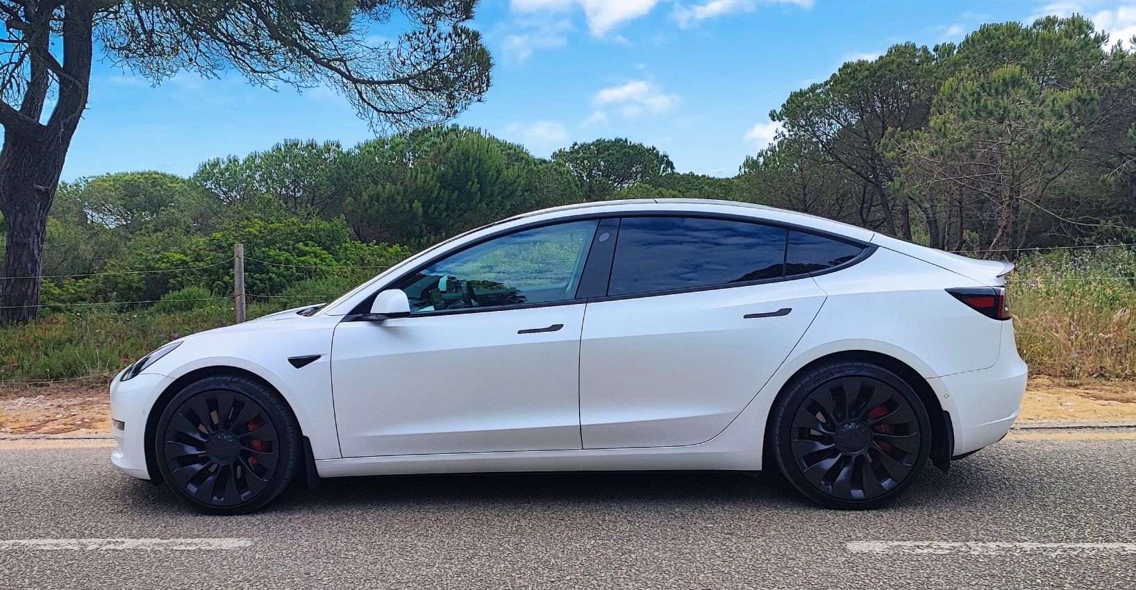 Tesla Model 3 Performance Dual Motor | Nacional  | 61.000kms
