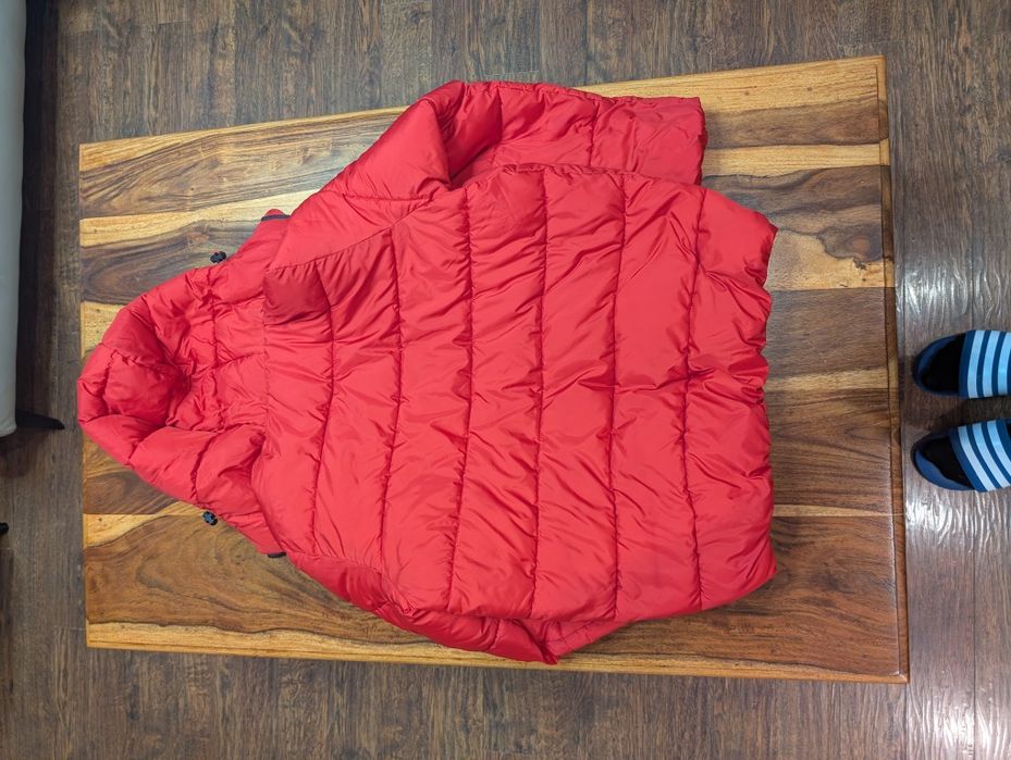 Kurka  PITBULL - rozmiar M