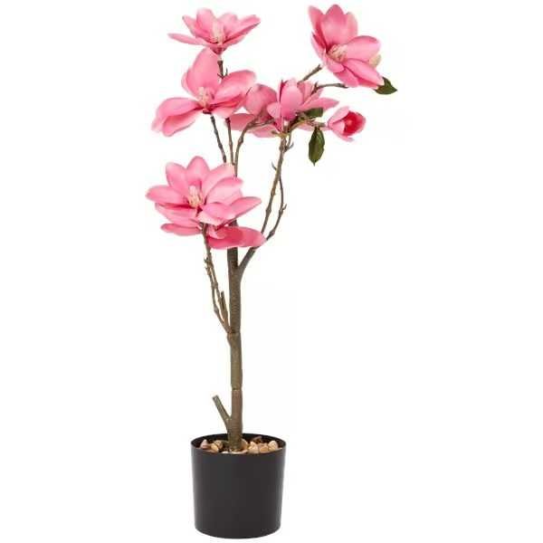 Nowy Prześliczny Kwiat w doniczce Magnolia 60 cm salon kosmetyczny