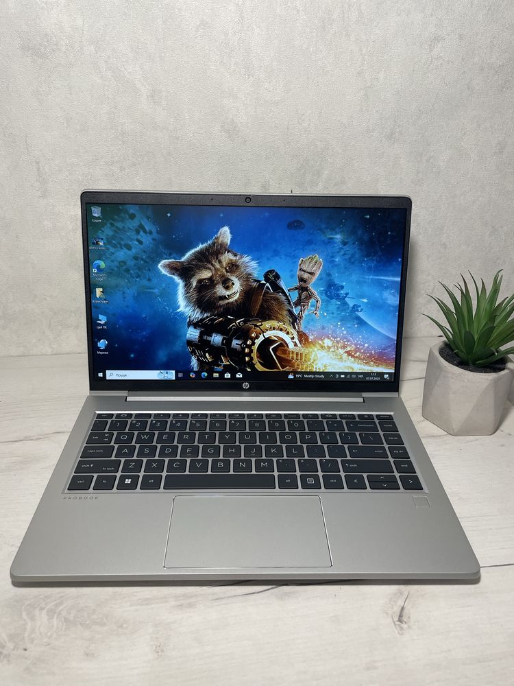 HP ProBook 445 G8 14" / Ryzen 5 5600U / 16GB / 256GB SSD / Full HD IPS