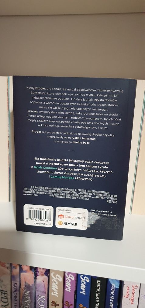 Wynajmij sobie chłopaka - Steve Bloom