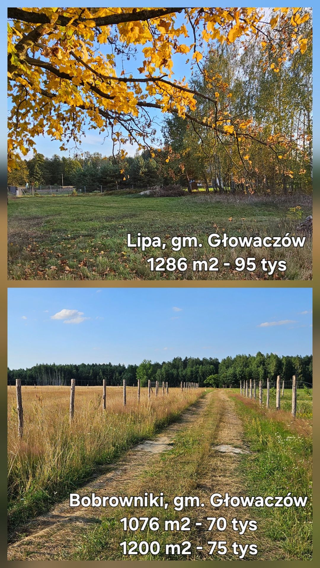 Działki bud. 1076M2, 1200M2 - gmina Głowaczów; WZ