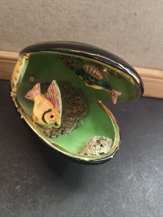 Concha Decorativa com Peixe