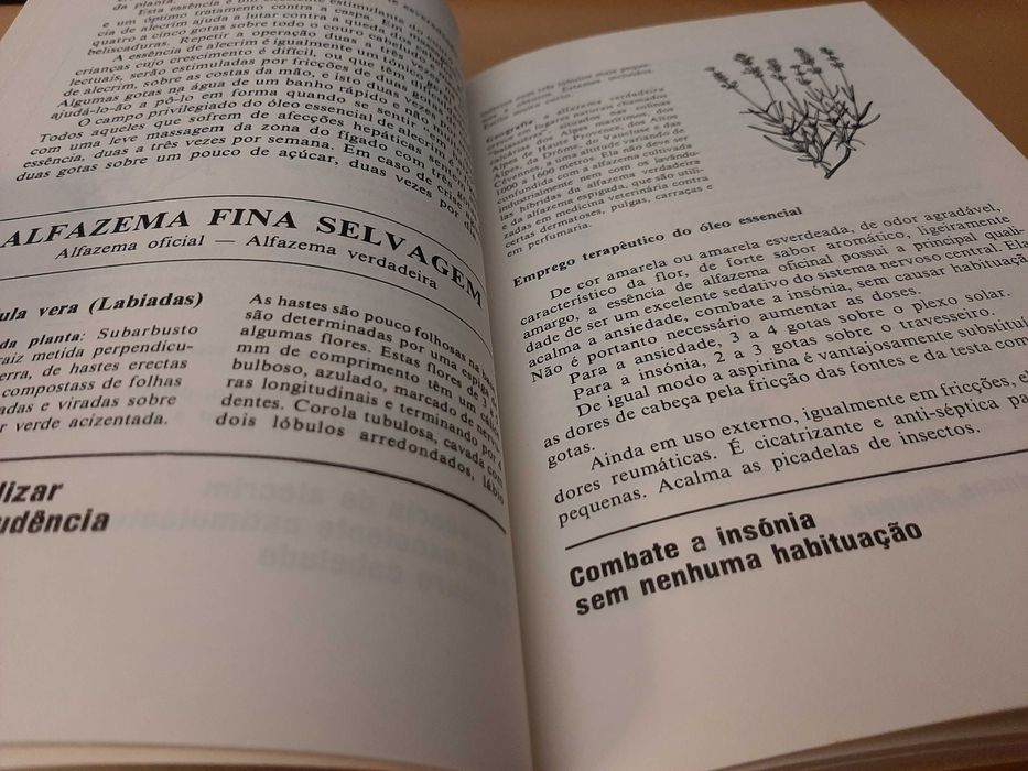 A Saúde Pelos Óleos Essenciais // André Rouvière