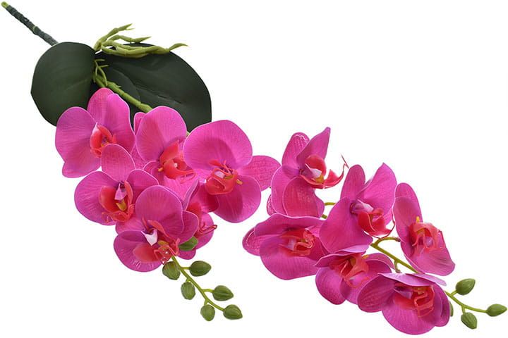Storczyk orchidea gałązka dekoracja kwiat ozdoba