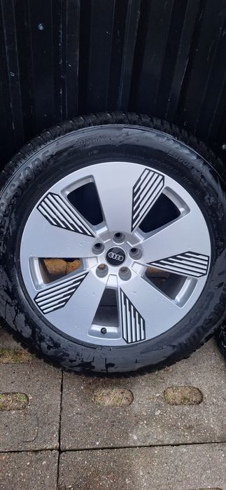 Zimowe koła Audi E Tron Q7