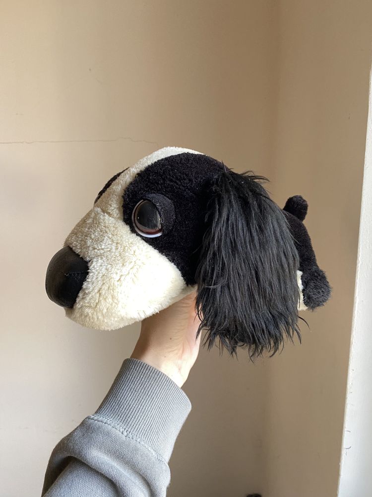 The dog, pies, maskotka, cocker spaniel