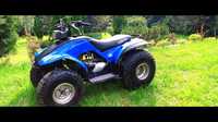 Yamaha breeze 125 quad grizzly