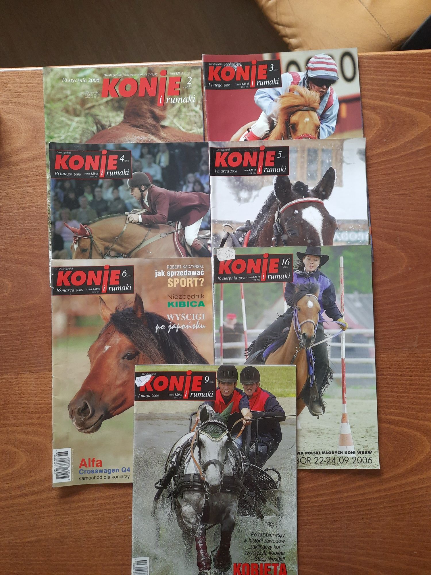 Konie I rumaki 2006