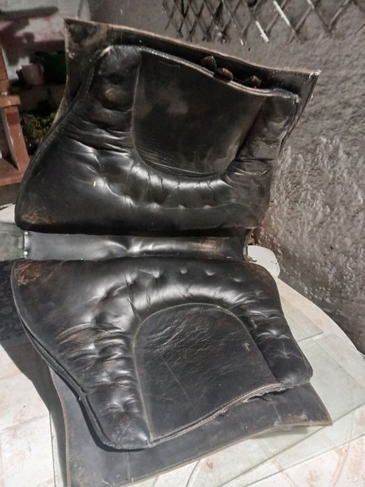 Sela  portuguesa  razoavel