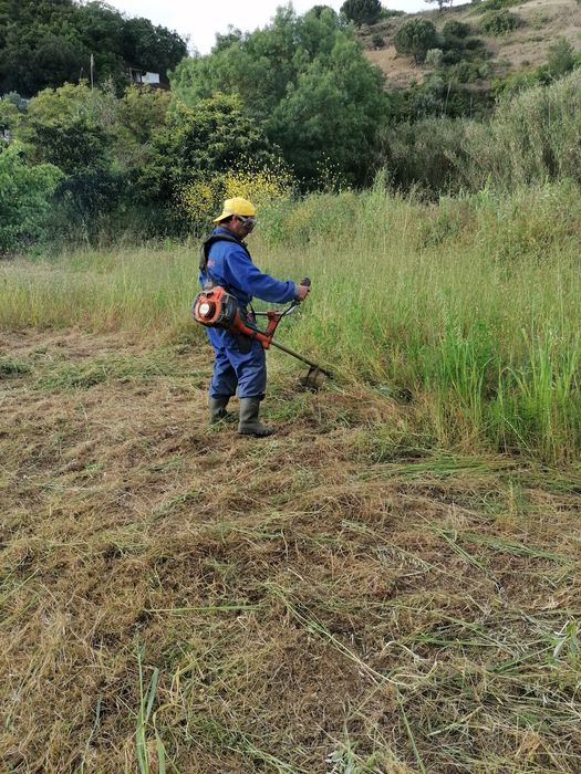 Limpeza de terrenos, trabalhos de pedreiro, canalização e pintura