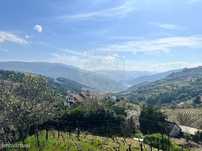 Terreno  para venda