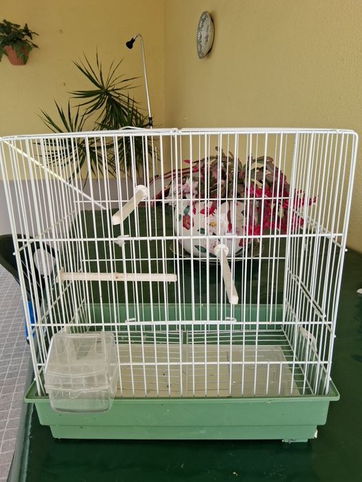 Gaiola para pássaros