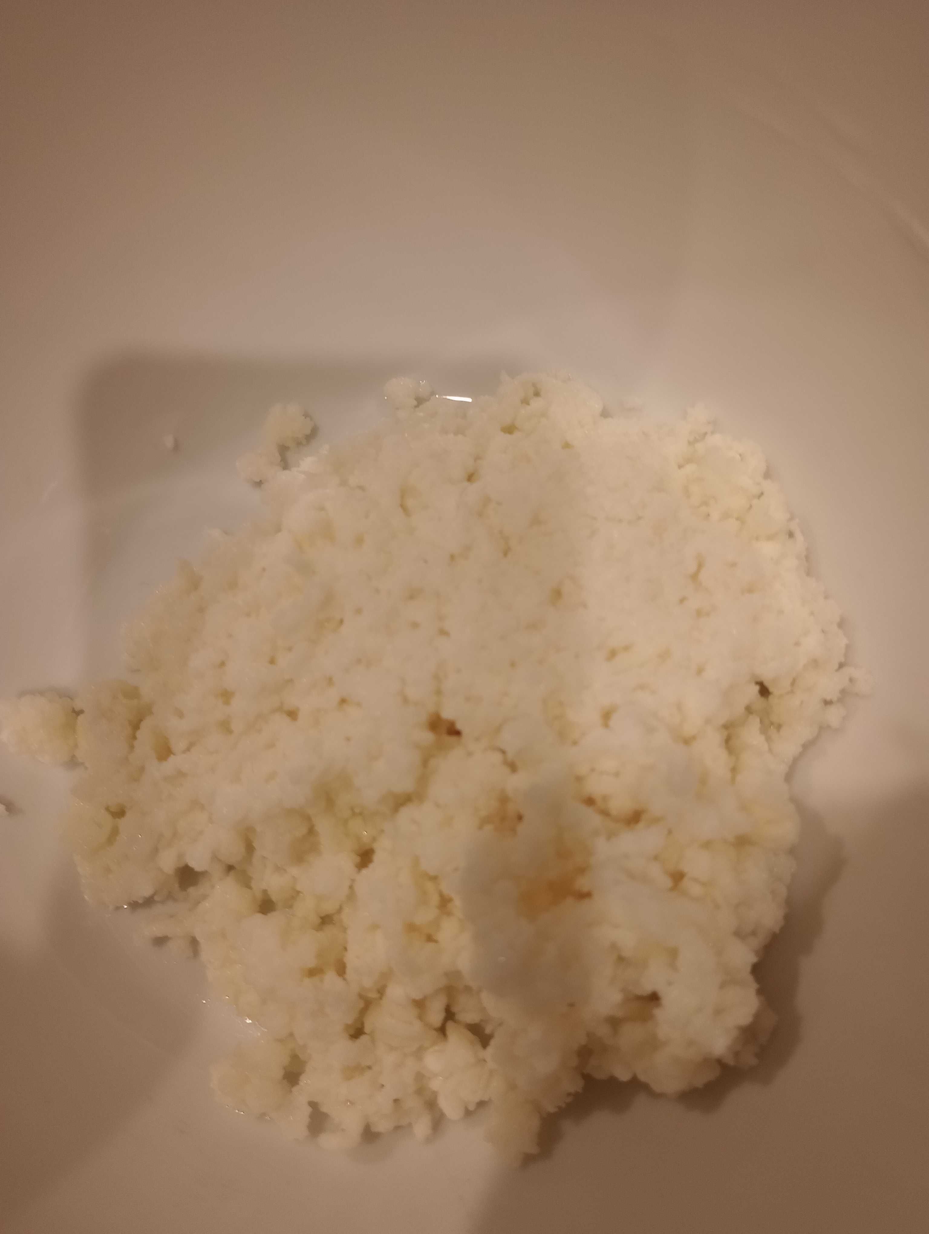 Grzybek tybetański  kefirowy 10 g