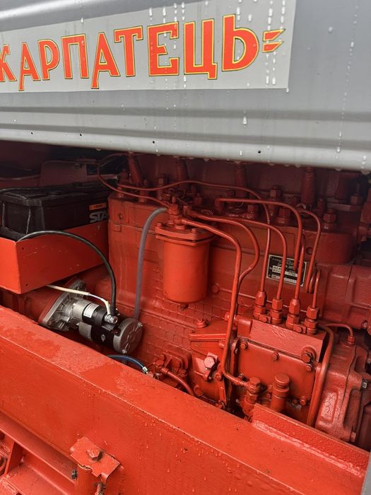 Продається карпатець