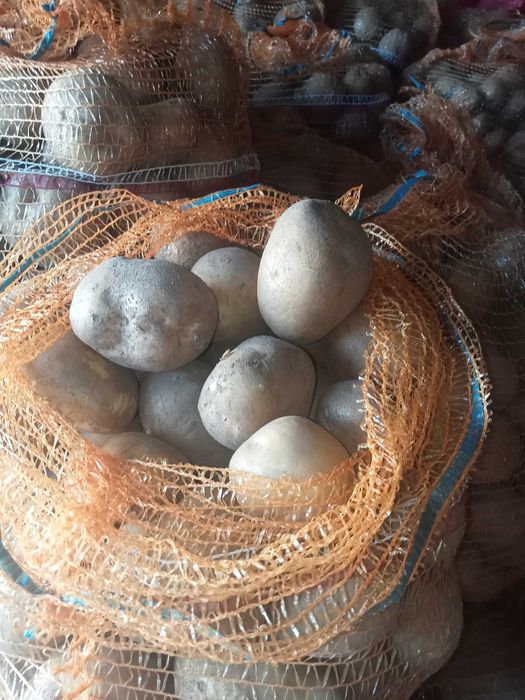 Sprzedaż ziemniakow