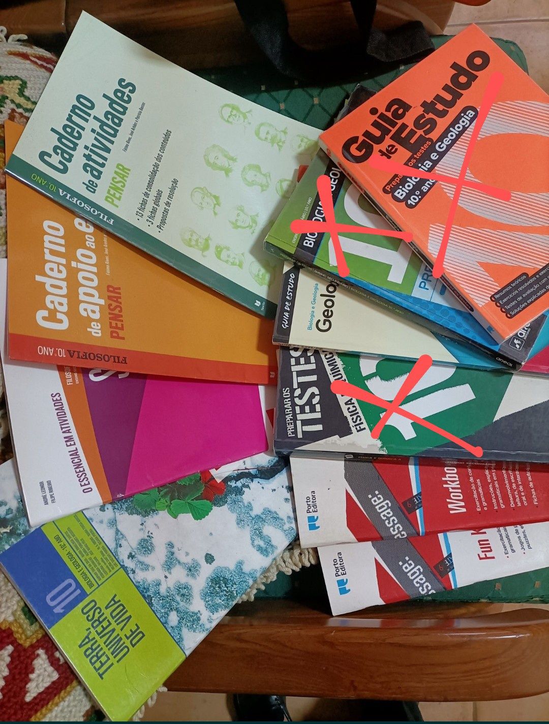 Livros do 10 ano de atividades menos o de geologia..