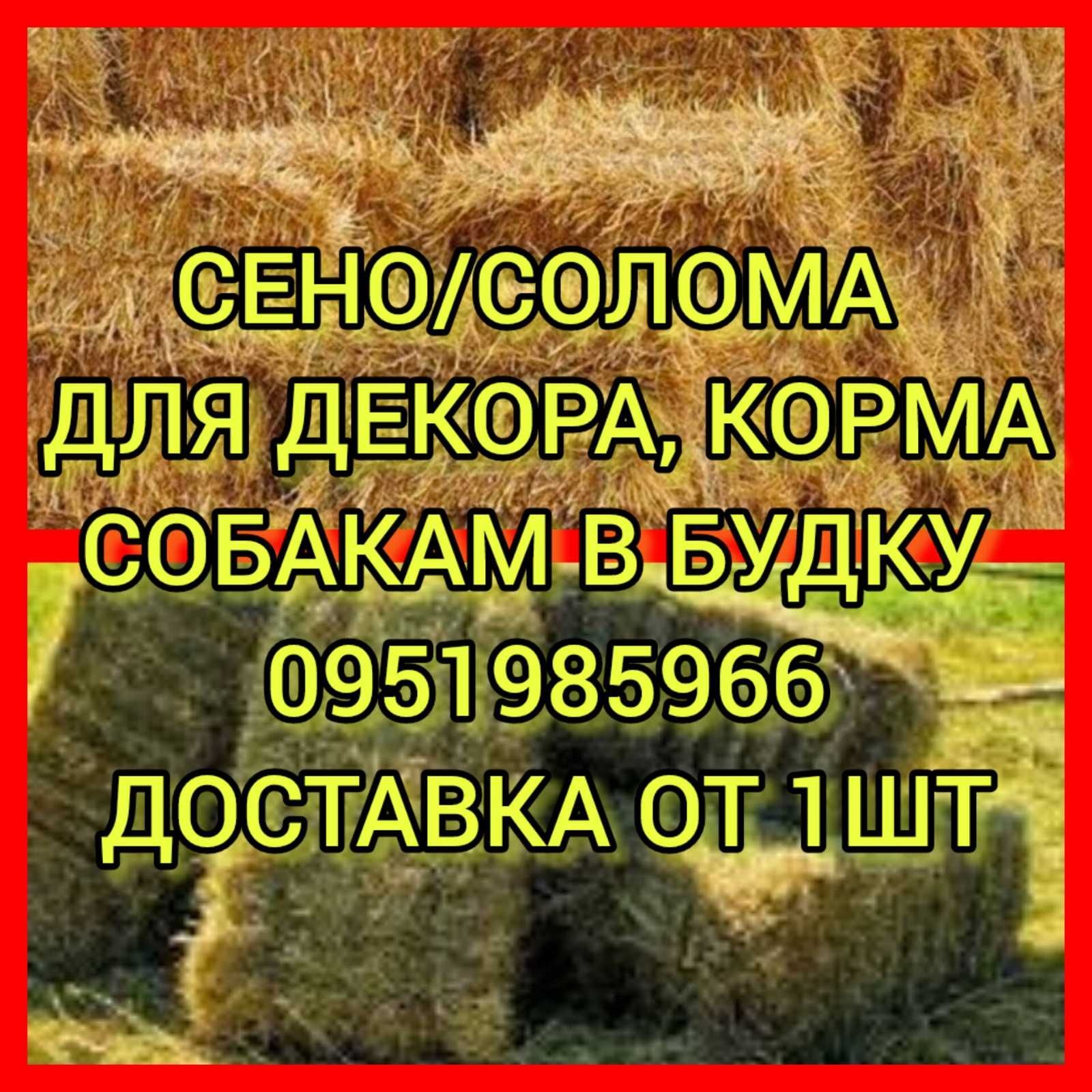 СЕНО С ДОСТАВКОЙ от 1шт в тюках мешках полевое, сіно в тюках