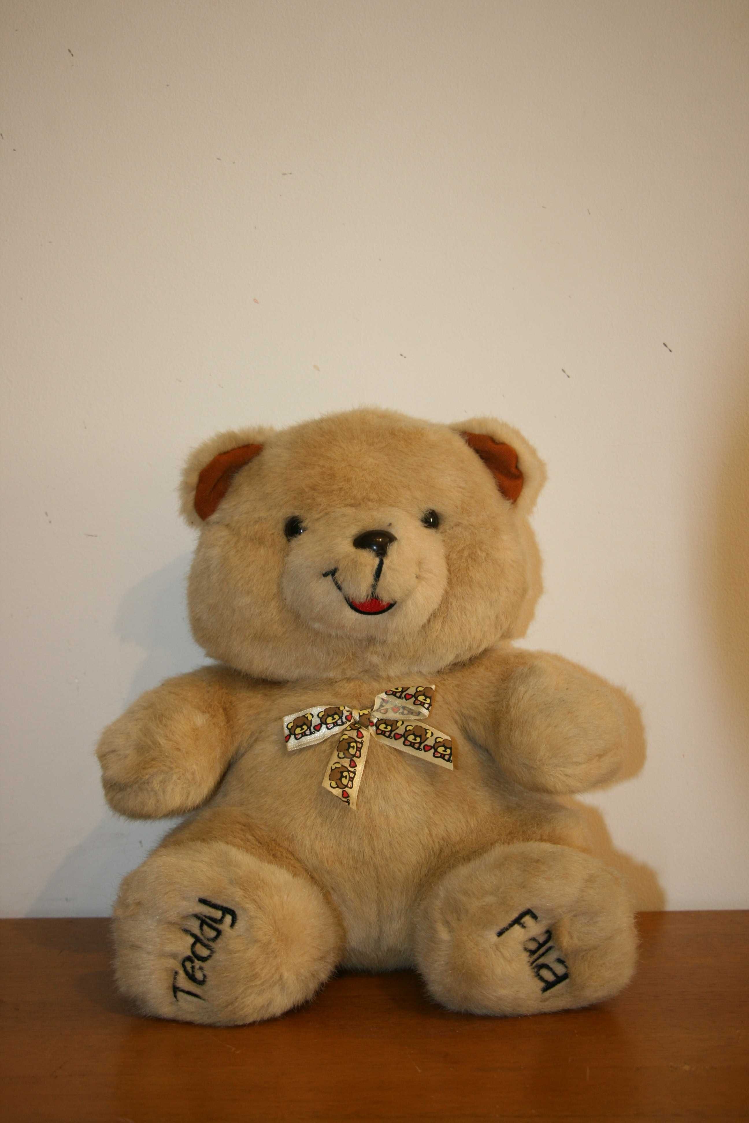 Urso Teddy Fala da Concentra