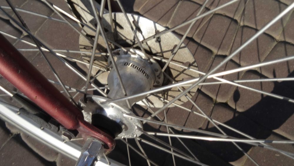 Holenderski rower Batavus