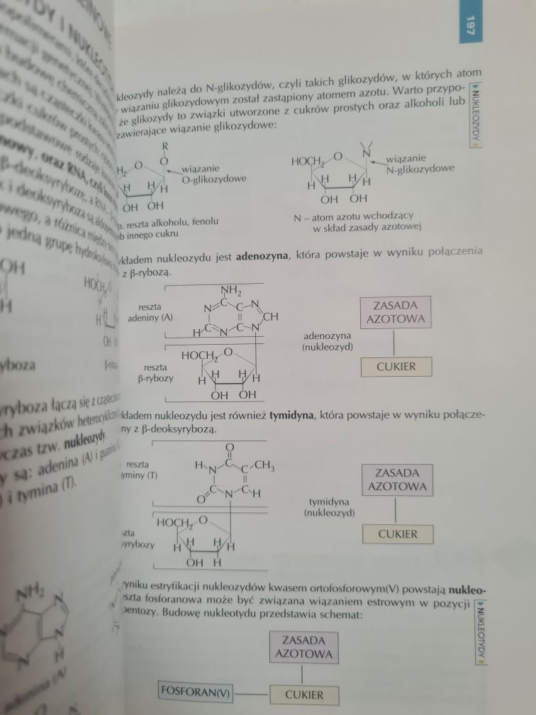 Chemia organiczna - Książka