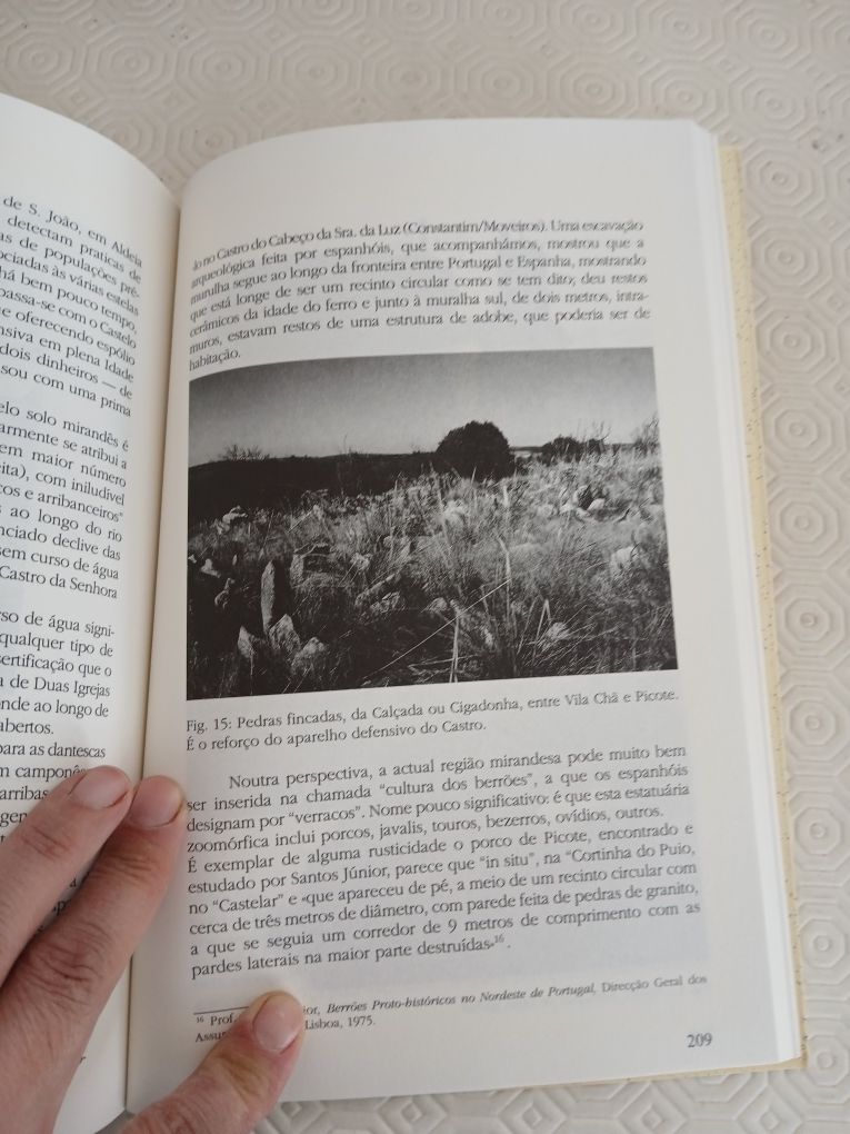 Estudos Mirandeses