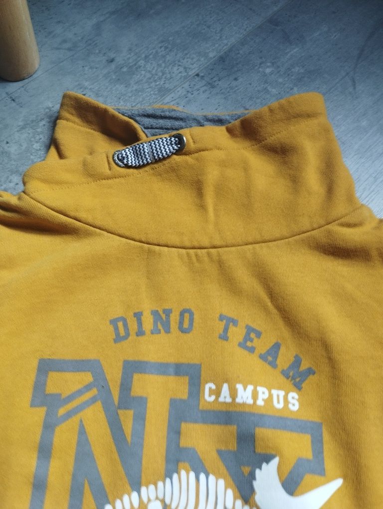 Bluza z dinozaurem