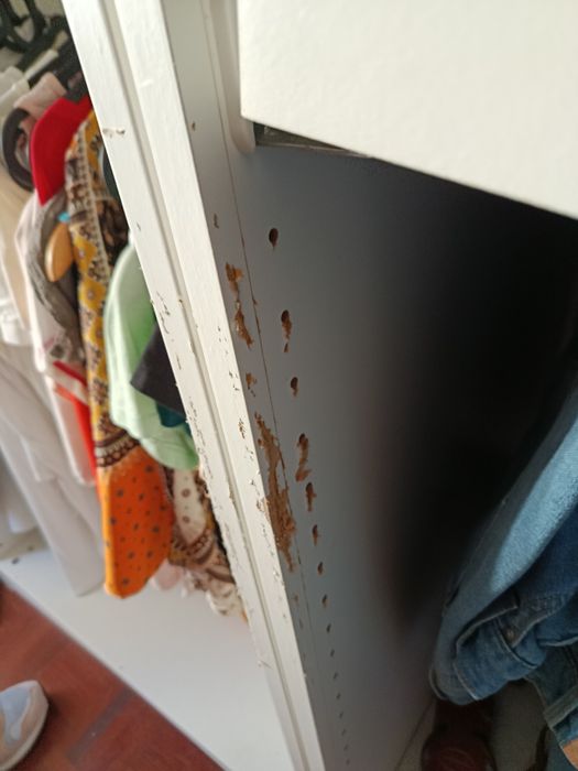 Roupeiros IKEA closet