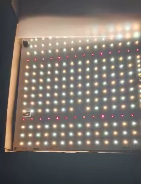 quantum LED фітолампа samsung QDB650–для ідеального росту рослин

прод