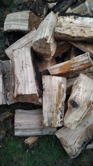 Drewno opałowe na sprzedaż