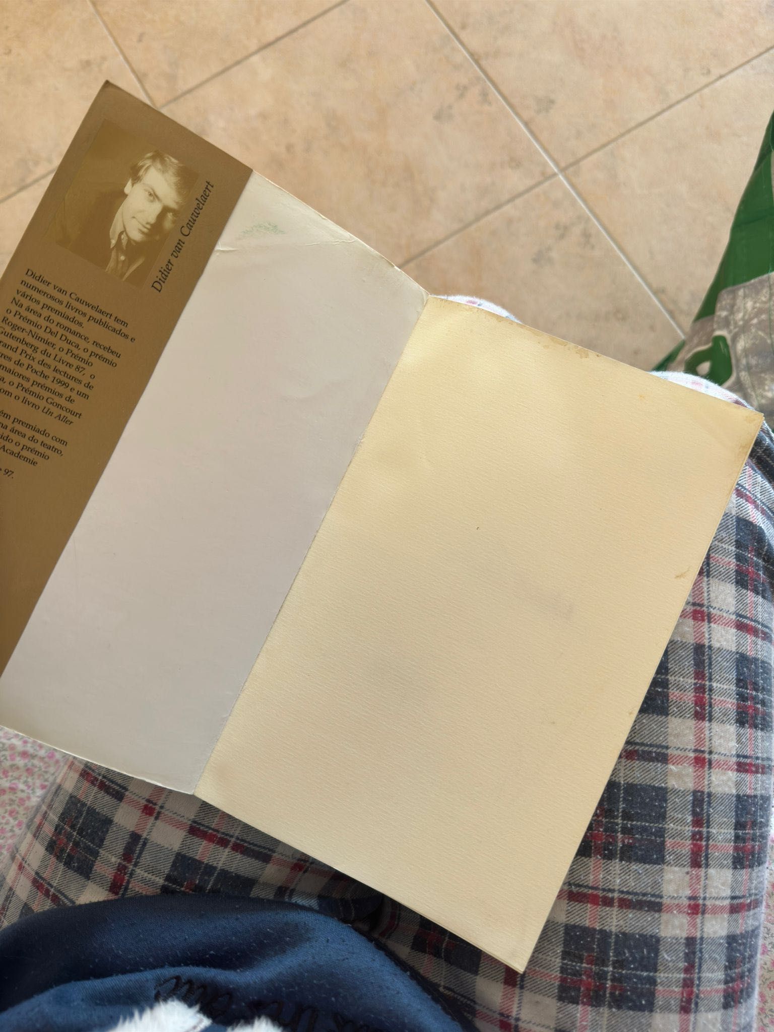Livro A Educação De Um Fada