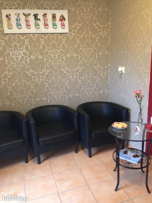 Groomer, DOG&CAT Salon dla psów, psi fryzjer, 17 lat na rynku