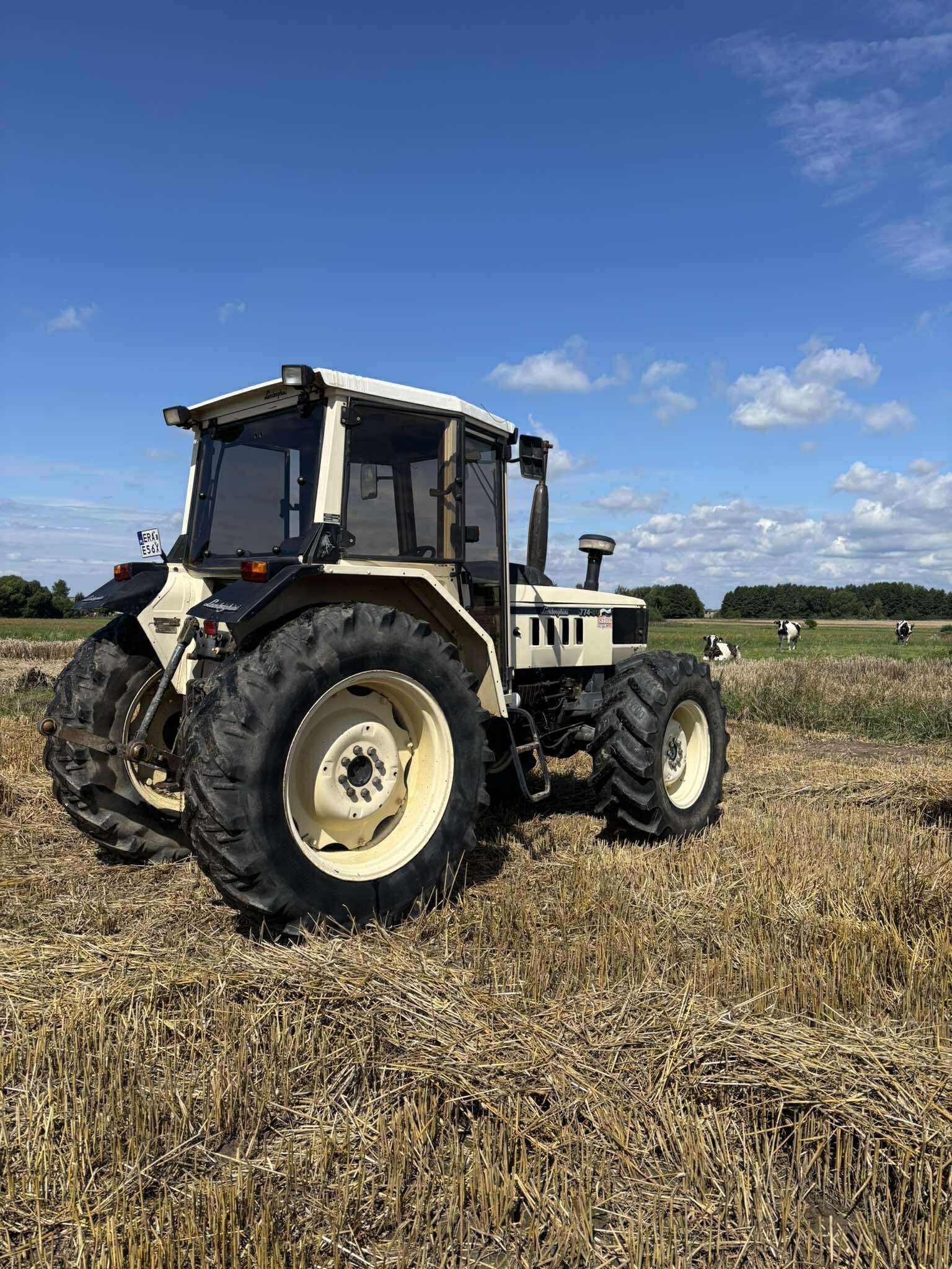 Same lamborghini 774-80