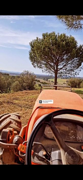 limpeza de terrenos/ desmatação/ venda de lenha