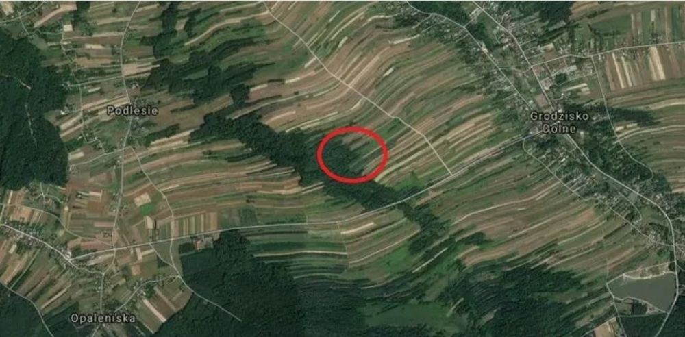 Las mieszany 31 arów