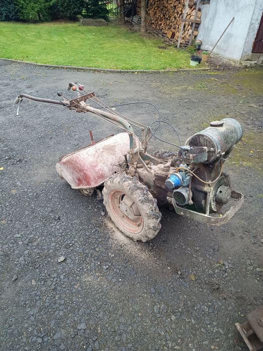 Glebogryzarka ogrodowa