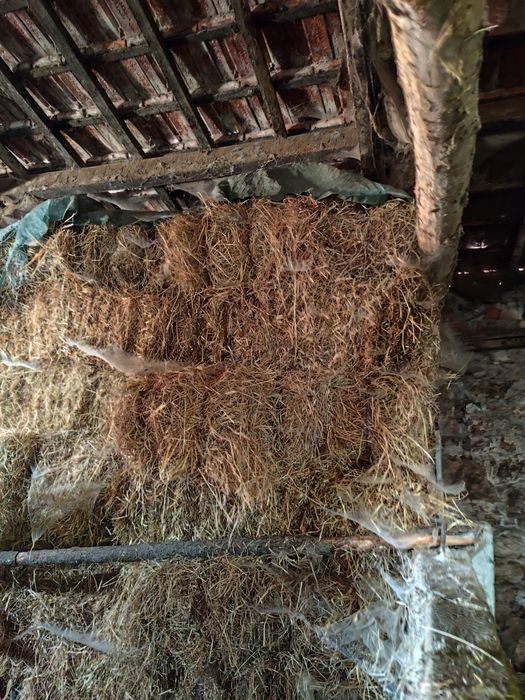 Vendo produtos frescos e naturais directos da horta!