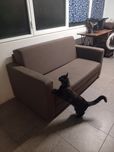 DOU sofá 2 lugares