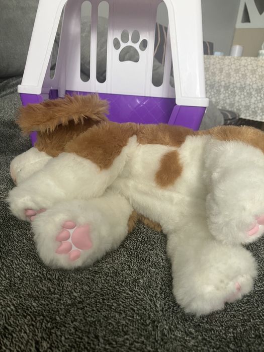 Piesek interaktywny Little Live Pets