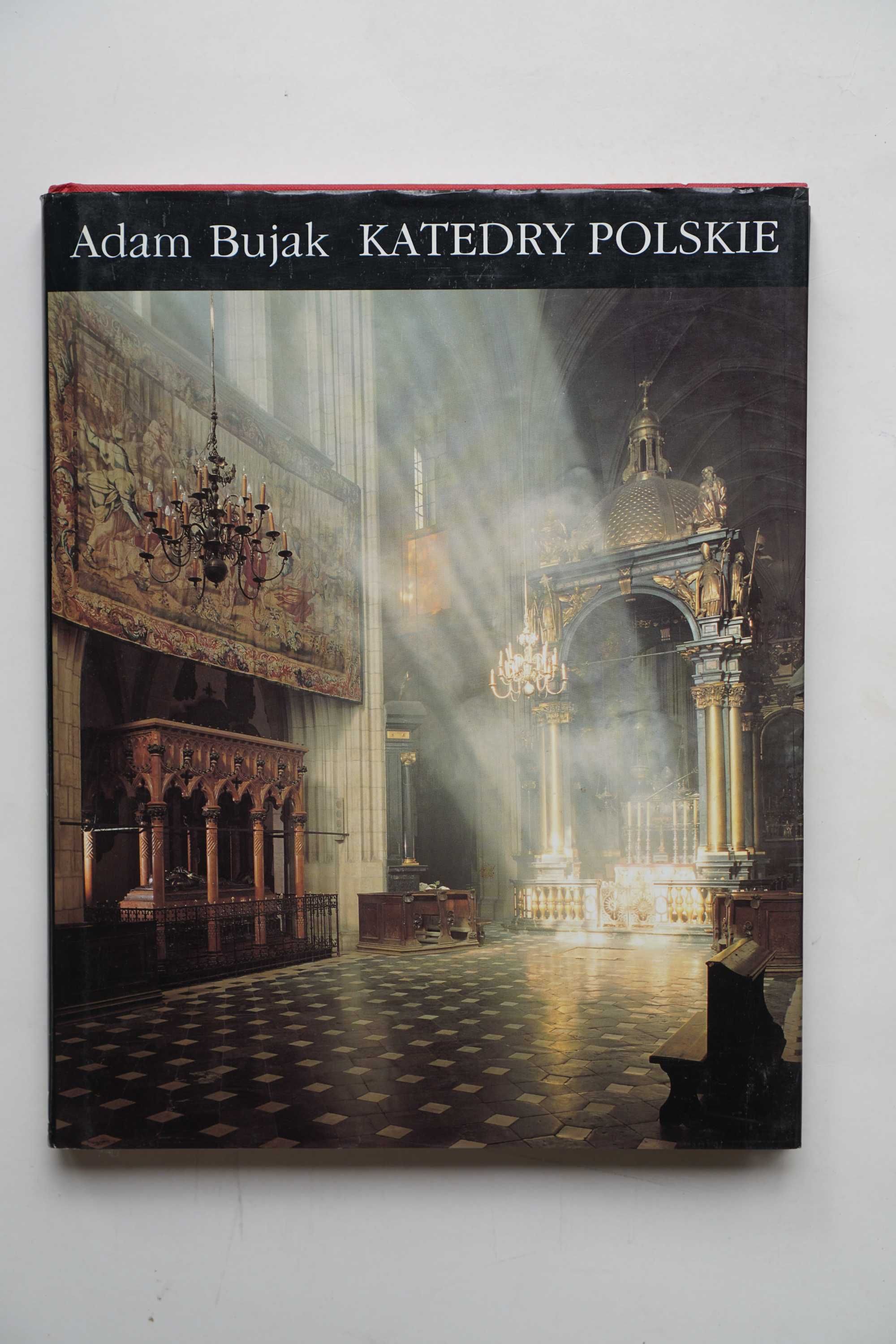 "Katedry Polskie" Adam Bujak