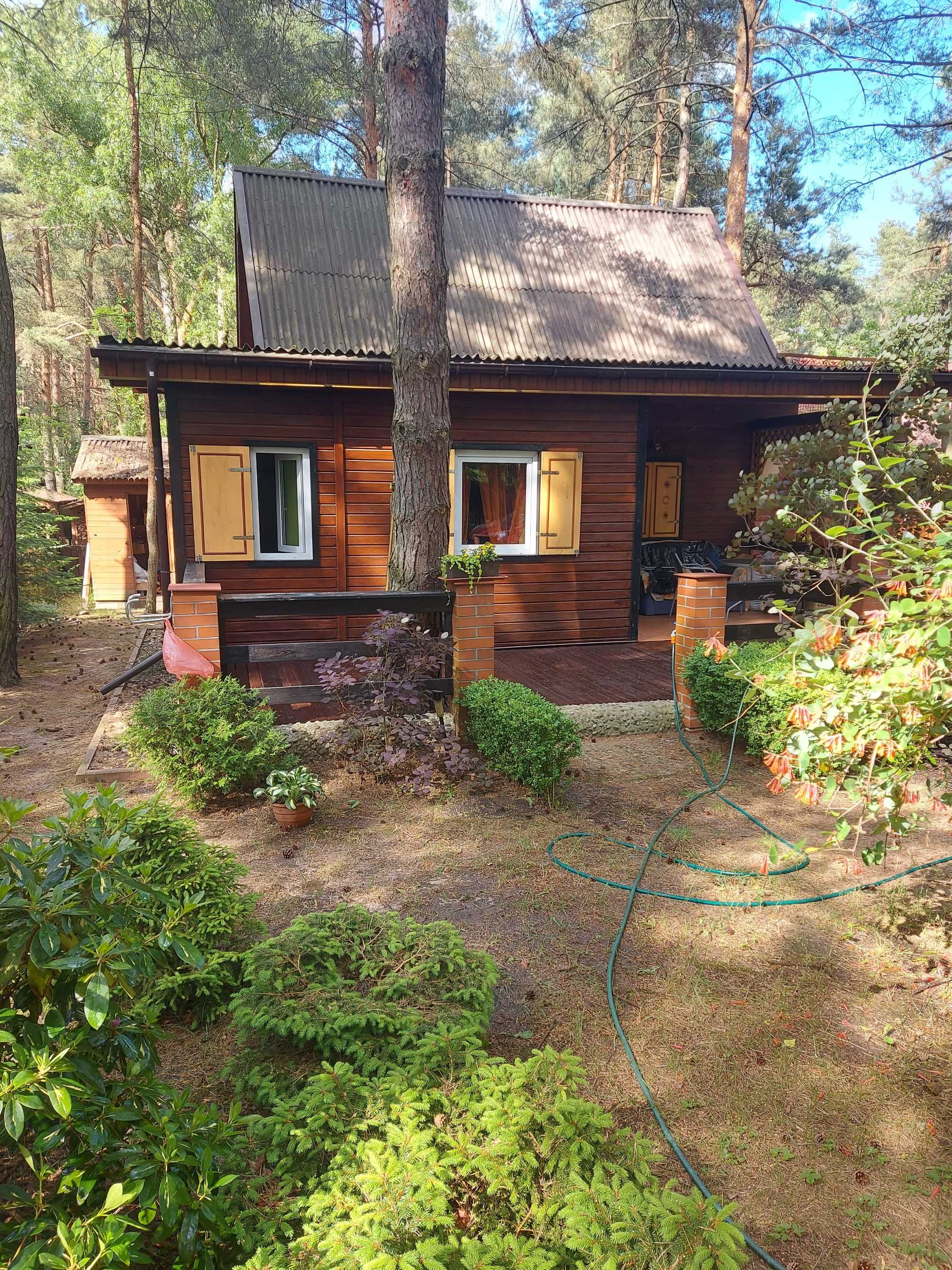 Wynajmę domek Kobyla Góra nad zalewem