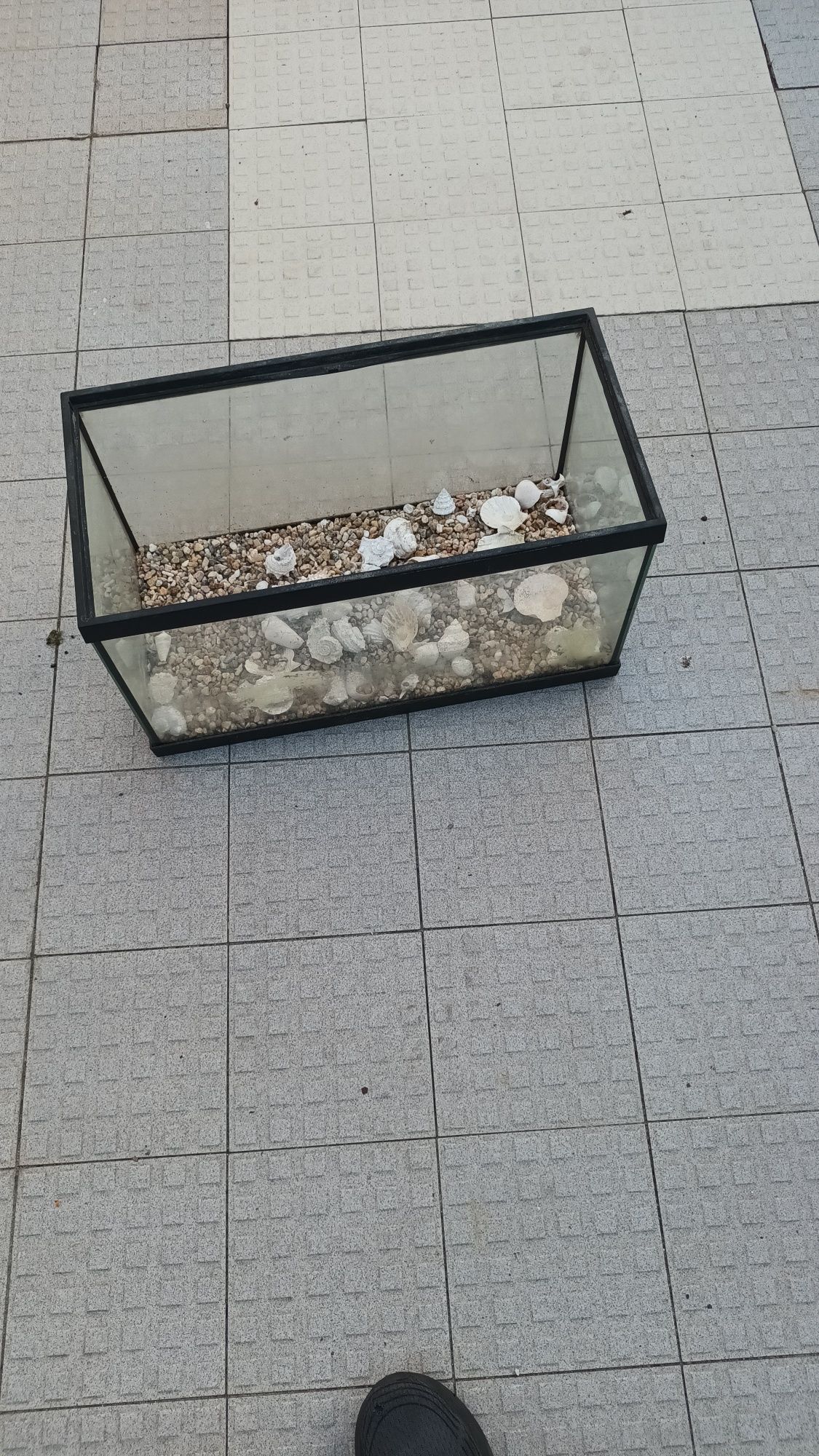 Aquário com pedras