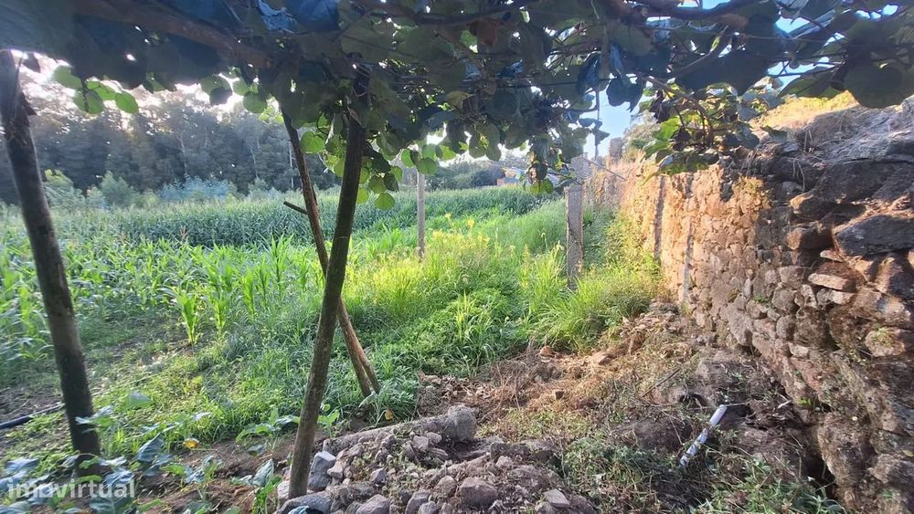Terreno Urbano em Gião Vila do Conde