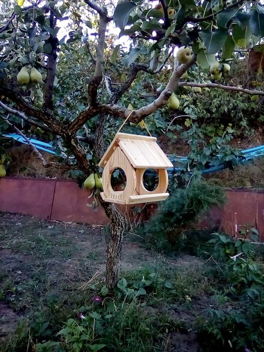 Годівниця для птахів.