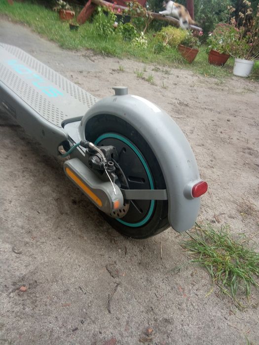 Hulajnoga elektryczna motus scooty 10plus