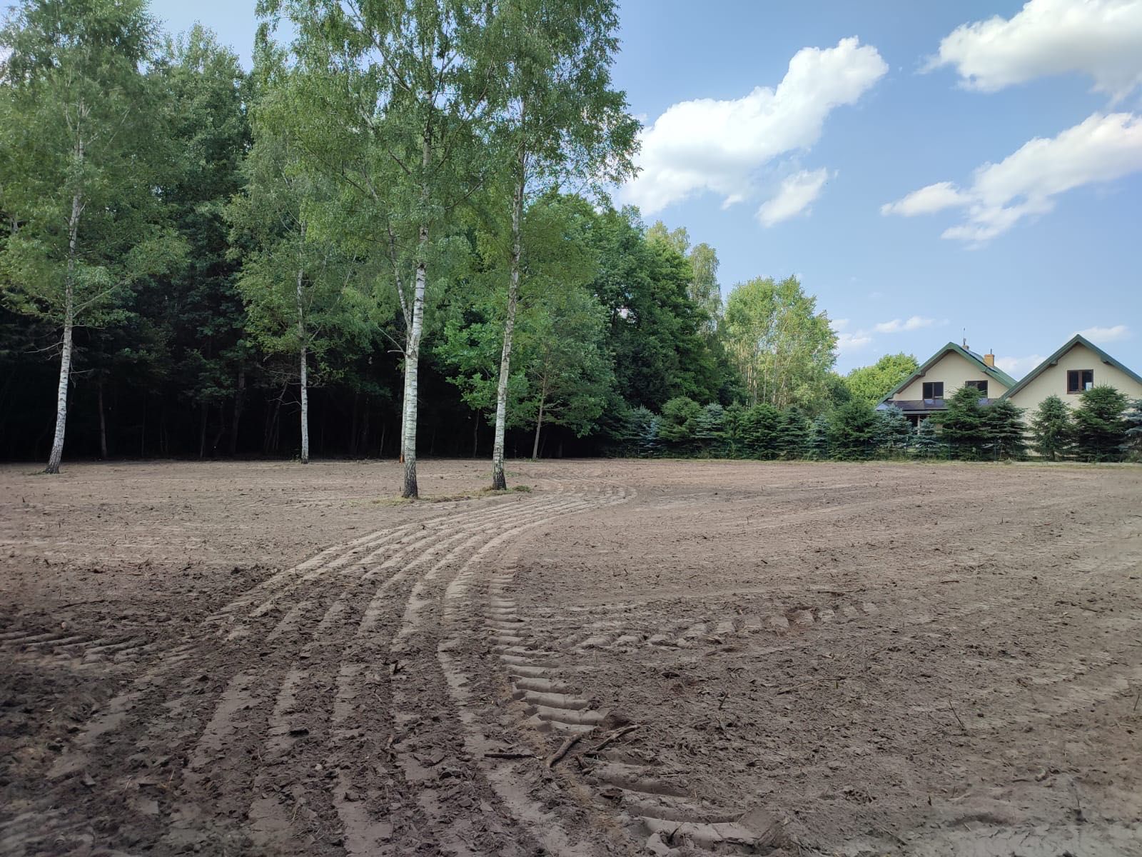 Mulczowanie mulczer rekultywacja wycinka drzew usuwanie pni karp