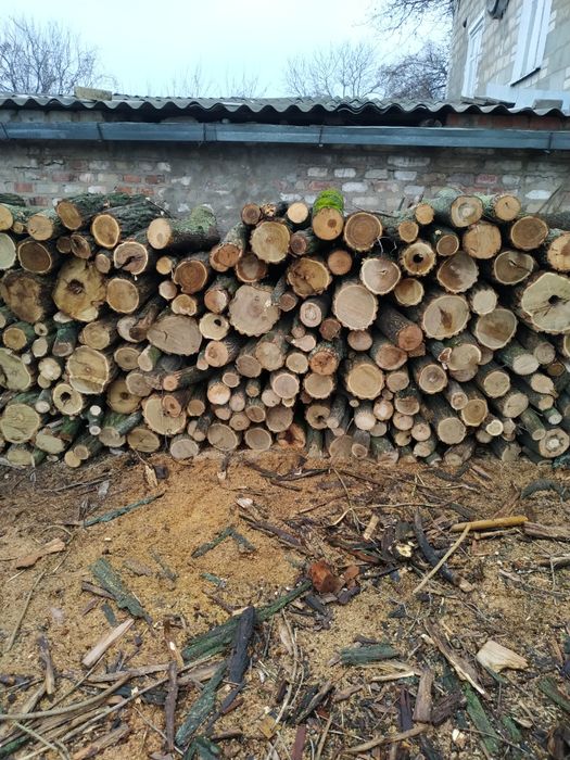 Продам дрова твердых пород